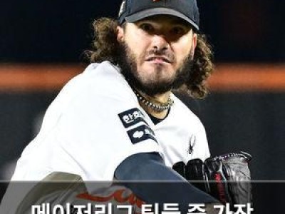 메이저리그 팀들 중 가장 따뜻한 겨울 보낸 팀은?
