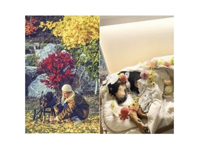배정남 반려견 벨과 작별하며 팬들 마음 울렸다
