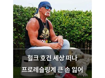 헐크 호건 세상 떠나 프로레슬링계 큰 손 잃어