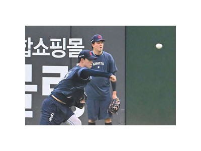 롯데 스프링캠프 대만에서 열려 팬들 보고 싶긴 합니다 반응