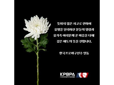 프로야구 선수들 무안 여객기 참사 유가족 위로에 나서