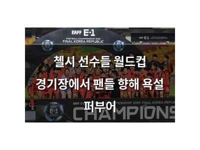 첼시 선수들 월드컵 경기장에서 팬들 향해 욕설 퍼부어