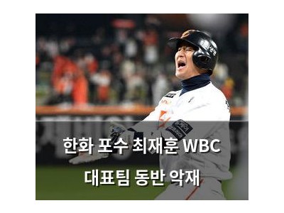 한화 포수 최재훈 WBC 대표팀 동반 악재