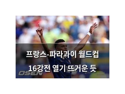 프랑스-파라과이 월드컵 16강전 열기 뜨거운 듯