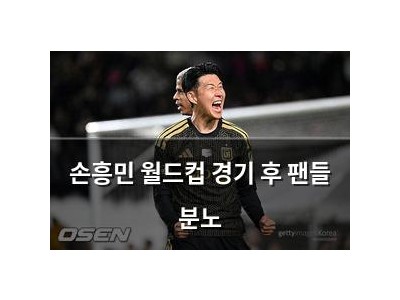 손흥민 월드컵 경기 후 팬들 분노